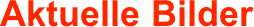 Aktuelle Bilder